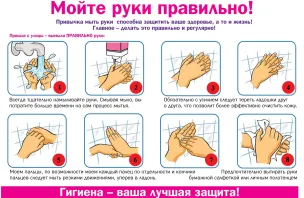 Организация питания в образовательной организации'